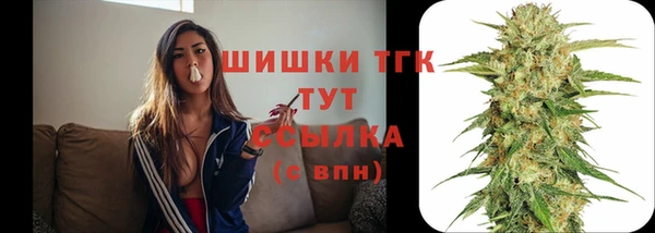 дмт Армянск