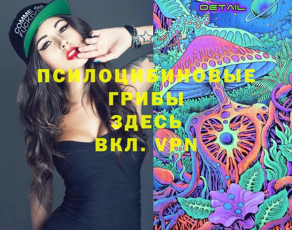 меф Каменск-Шахтинский