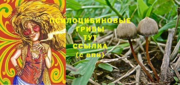 ешки Алексеевка