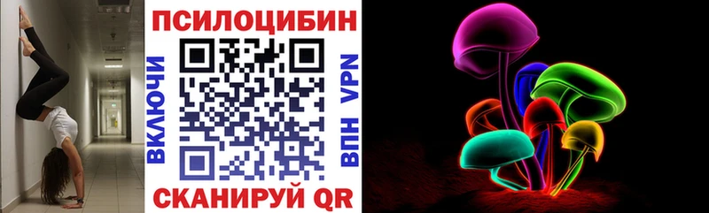 Галлюциногенные грибы Psilocybine cubensis  где найти   мориарти как зайти  Таруса 